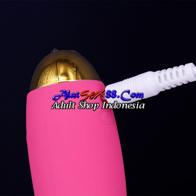 Alat Sex Wanita SVAKOM Remote Control